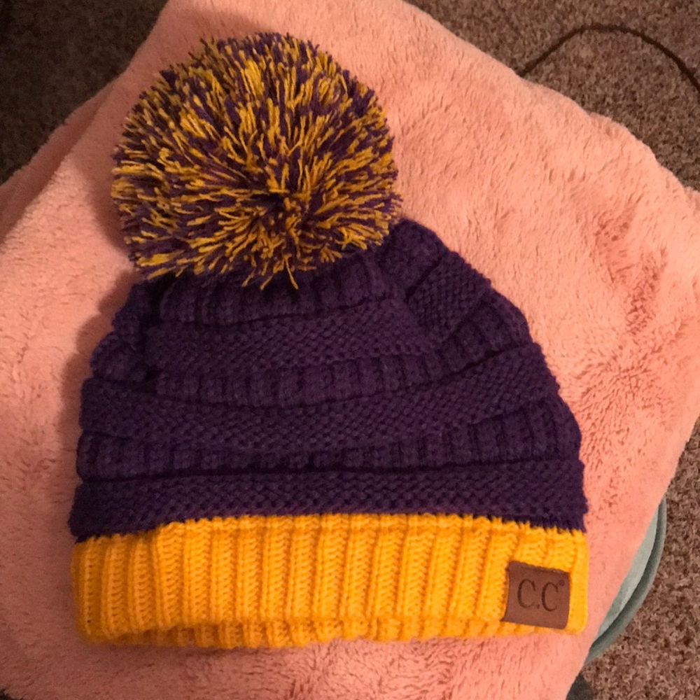 NEVER WORN Purple and Gold C.C hat